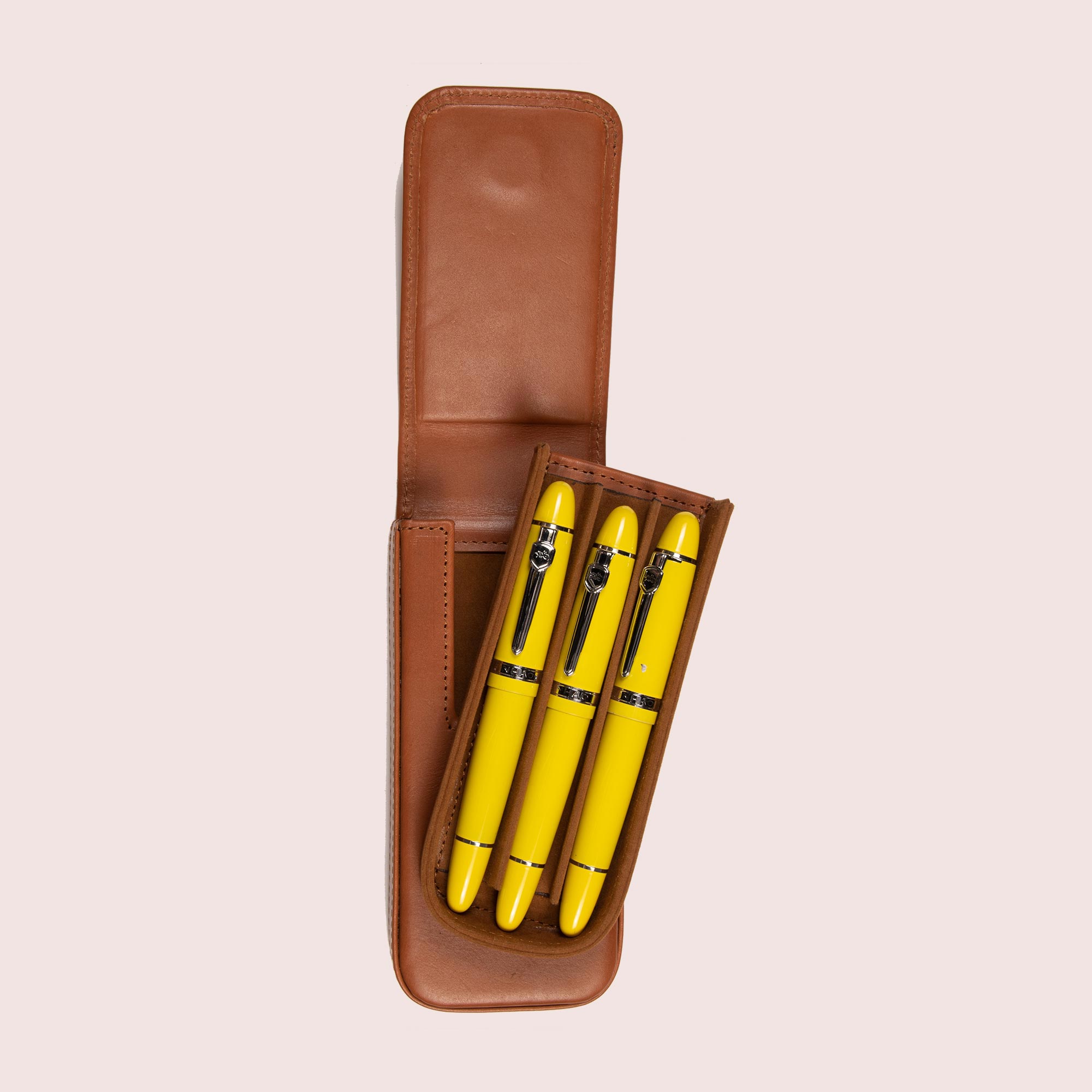 Pen Case with Three Slots