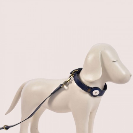 Dog Collar & Leash