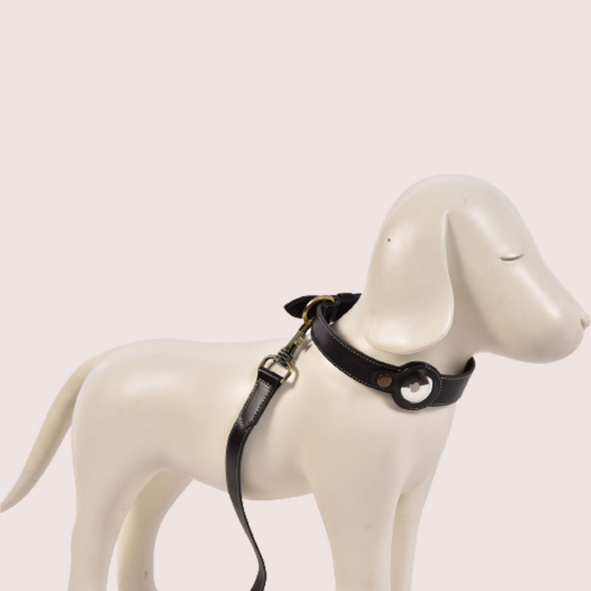 Dog Collar with Air Tag & Leash